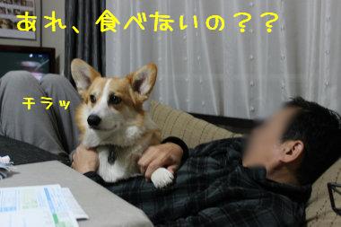 あれ食べないのぉ?