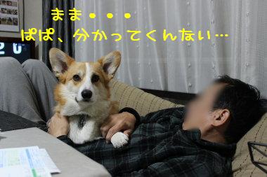 分かってくんない。