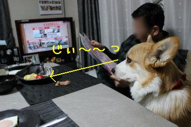 熱視線