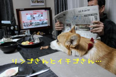 ほしいな~