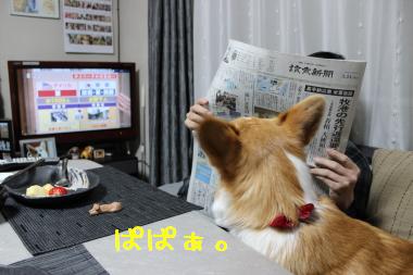 ぱぱぁ。