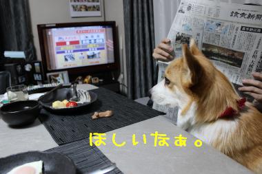ガン見。