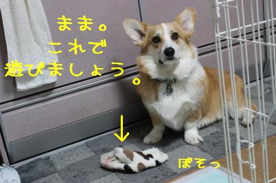 これどう?