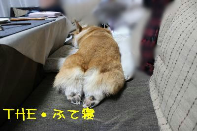 ふて寝