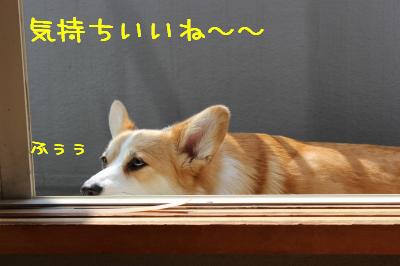 いいかんじ~