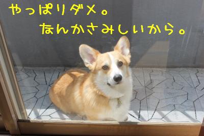 やっぱりダメ。