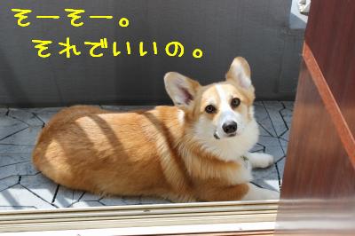 そーそー開けておいて。