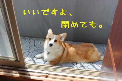 どーぞ。
