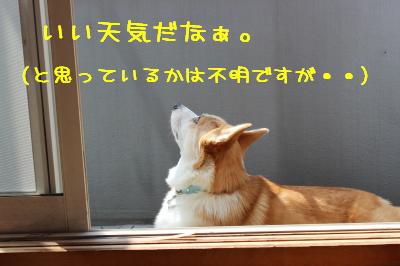 いい天気だ。