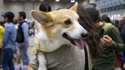 ノアお兄ちゃん