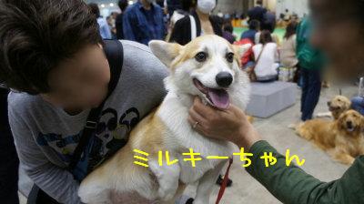 ミルキーちゃん