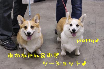 あかねたん&むぎ