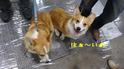 ちく