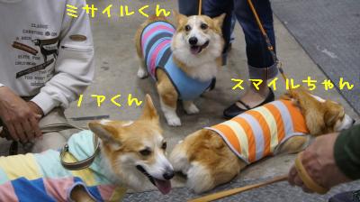 スマイルちゃんお疲れ?
