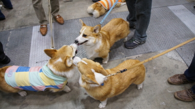 ノアお兄ちゃんに群がるちくむぎ