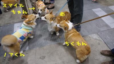 バーミーっ子ワラワラ