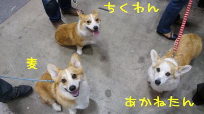伯母さん&甥っ子
