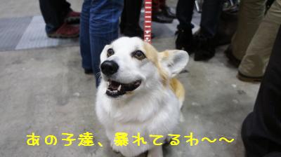 あかねたん