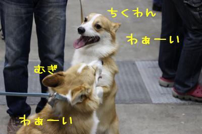 ちくむぎその2