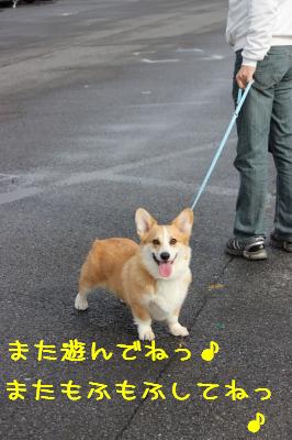 笑顔の麦さん