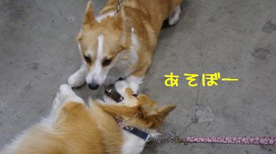 お誘い