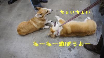 遊ぼうよ~