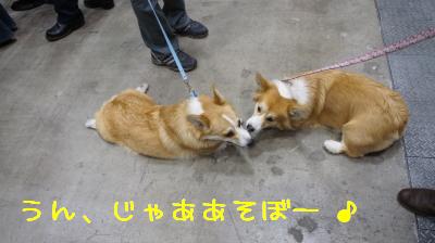ねーってばー