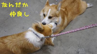 フレンドリー