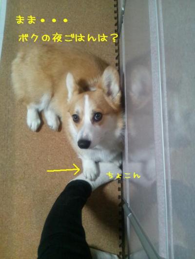 無言の要求(足乗せつき)
