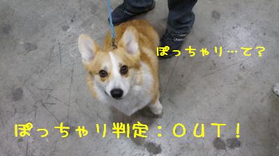 ジャパンインターにて