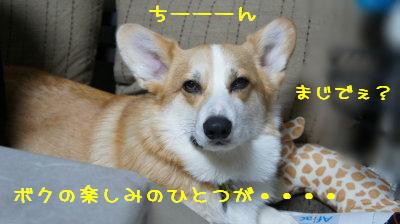え~やだよぉ。