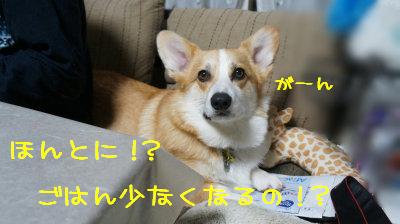 ほんとですか!?