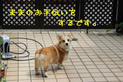 お手伝いするです。