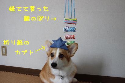 浮かないお顔