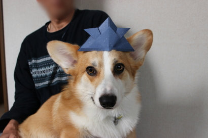 カブトを被った麦さん