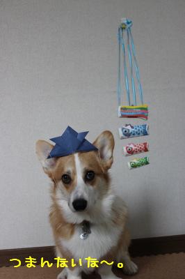 もうちょっと笑ってくんないかな・・・