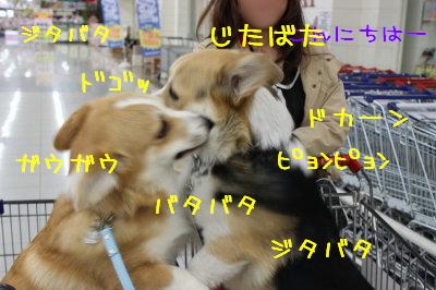 まろちゃんとデートなの♪