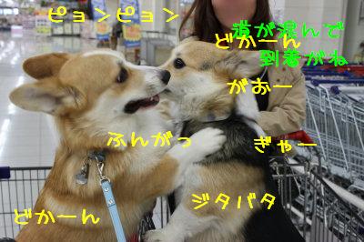 話せない・・・