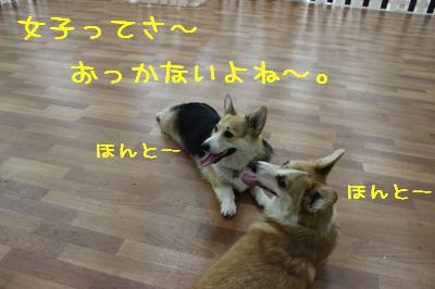 女子ってさー