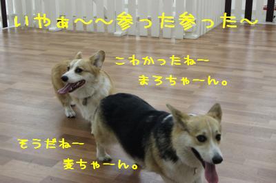 いやー、参ったね☆