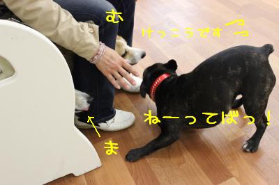 いや、ぼくは・・・
