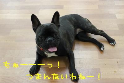 つまんないわねー!