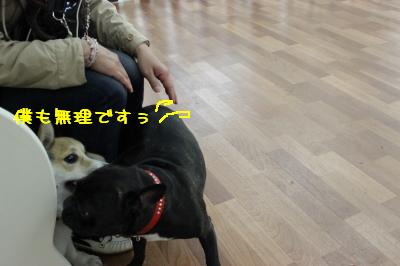 ぼくも遠慮しときます