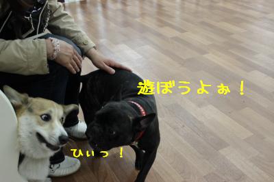 ひぃっ!