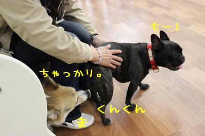 なによぉ!