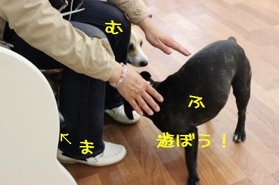 ねーってば!