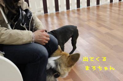 遊ぼうよぉ!