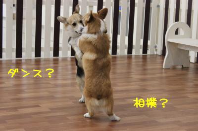 ダンス?