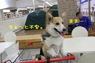 ママいってらっしゃ~い
