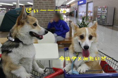 今はダメみたい。
